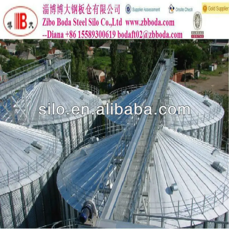 Steel silo bins and accessories for Grain / Paddy Storage and Milling Plant selling on competitive price