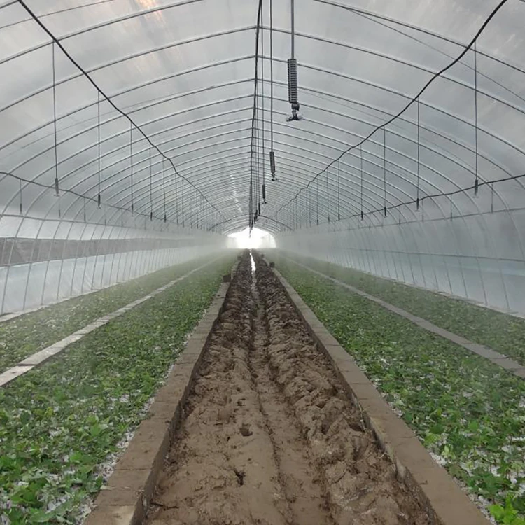 
Good price economical single span tunnel tropical greenhouse 