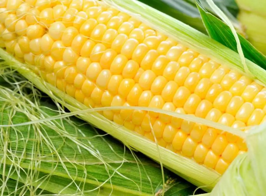 Универсальная кукурузная мука, изготовленная из кукурузной муки