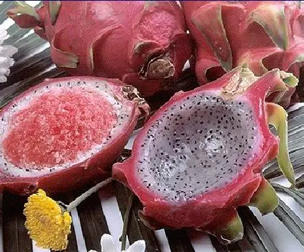 Замороженный Дракон фрукт оболочка