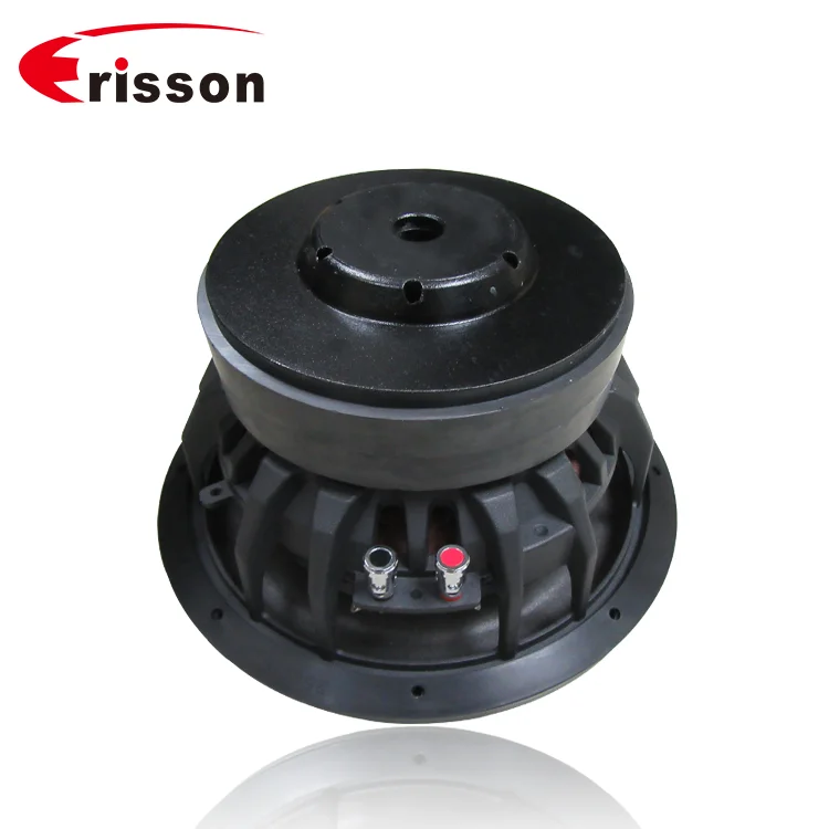 OEM Supplier 300 Watts 4 Ohm 10 inch Subwoofer Speaker for Car