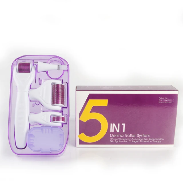 dermaroller Improves hyperpigmentation spots Leg stainless steel Arm 5 in 1 derma roller 2000