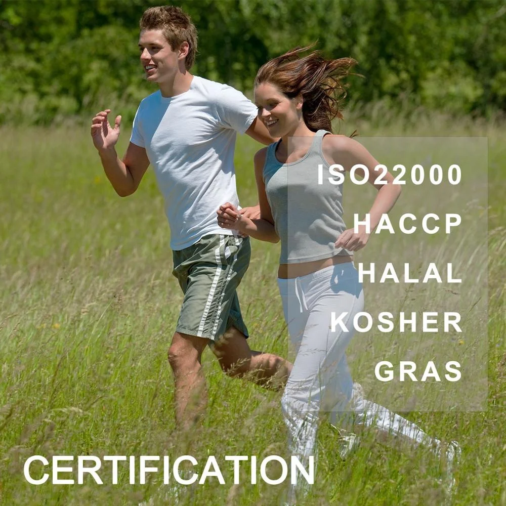 
Top Quality Pure Green Coffee Bean Extract Powder for Health Food 