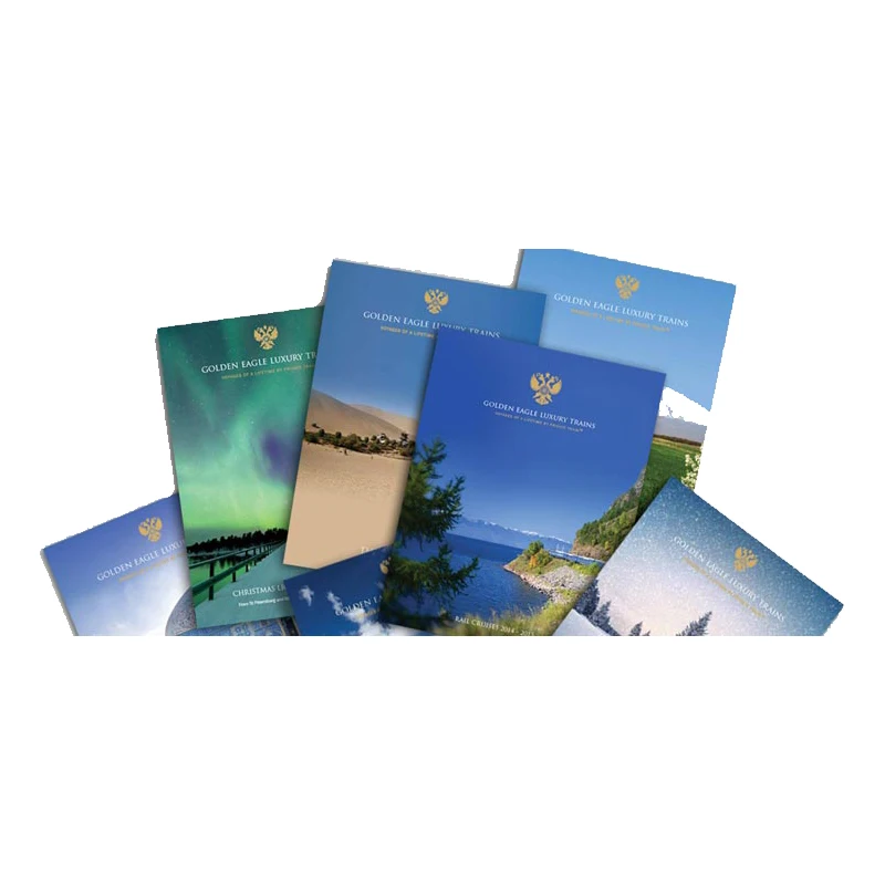 Custom promotion flyer, leaflet, catalogue, booklet, brochure printing service