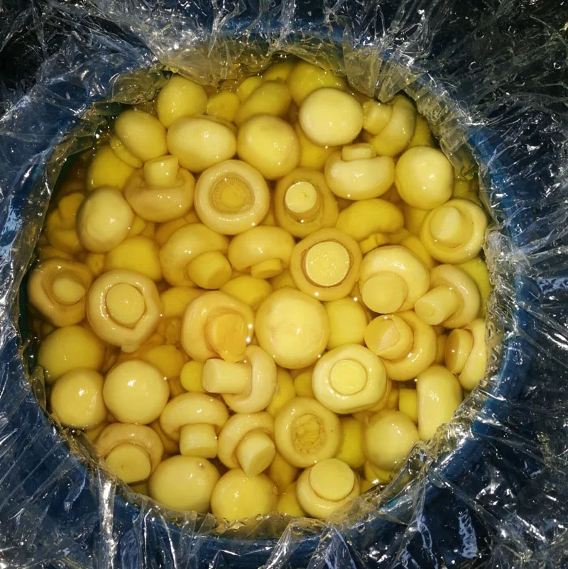 
Chinese manufacturer directly preserved white mushroom in barrel 