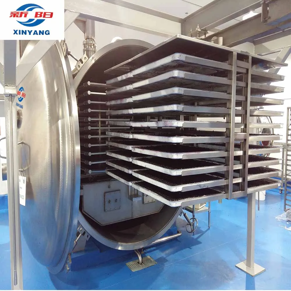 CE certificate Vacuum Industrial Freeze Dryer Price for fruits and vegetables