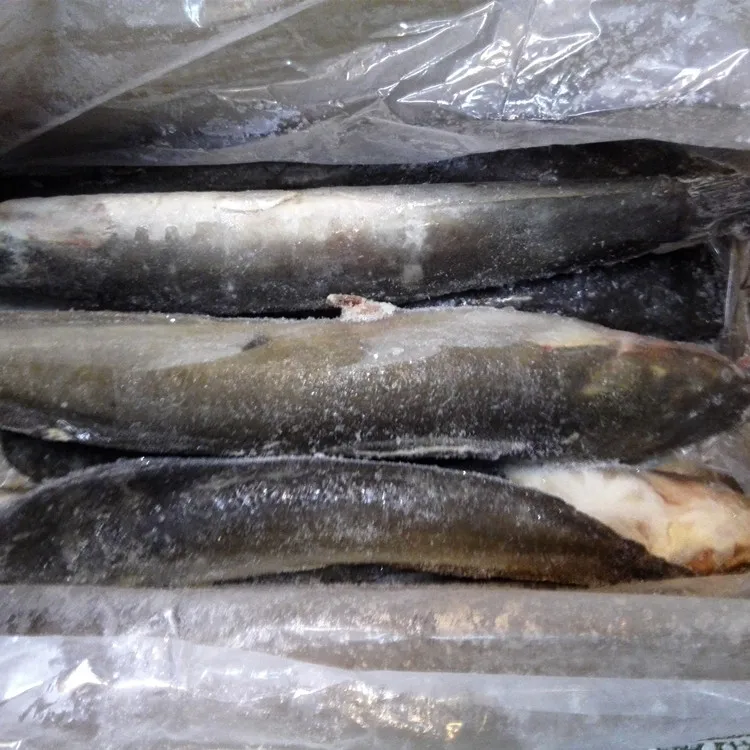 
chinese seafood factory wr black catfish fish for african market 