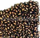 high quality 11cm black roasted salted watermelon seeds in shell