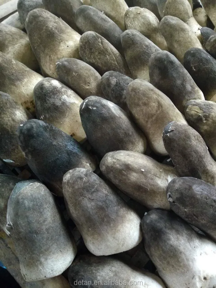 Detan Dried Straw Slices Mushroom Price