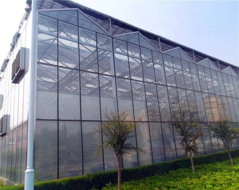 Wide Ecological Restaurant Greenhouse Polycarbonate Sheet
