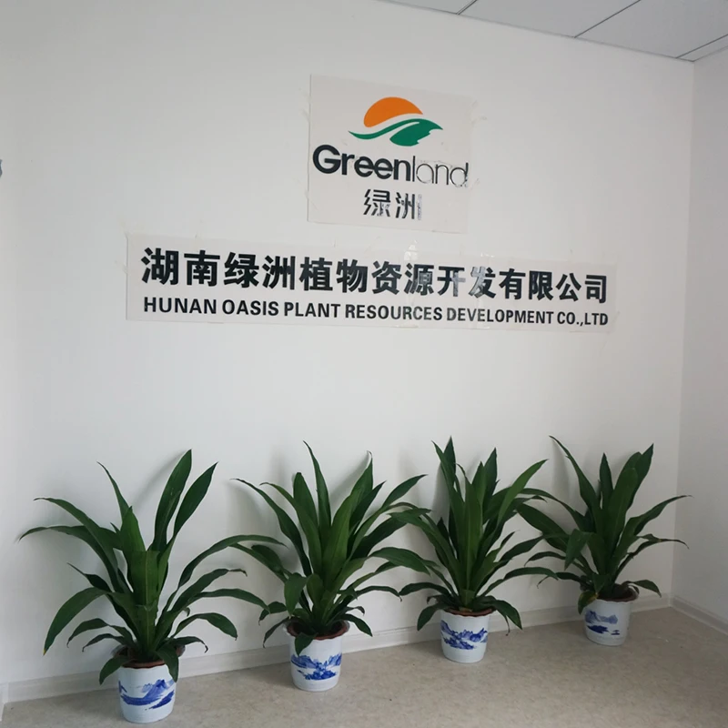 Factory Supply Rhubarb Extract Emodin Rhodiola Rosea P.E