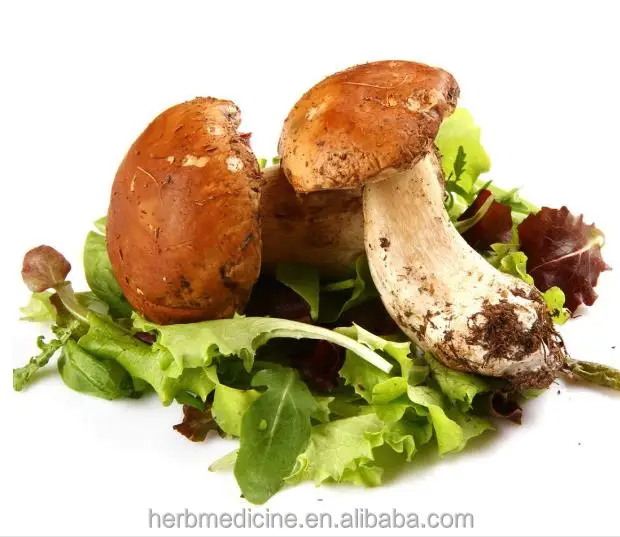 Dried for soup and dishes Yunnan china King Bolete Boletus edulis mushrooms