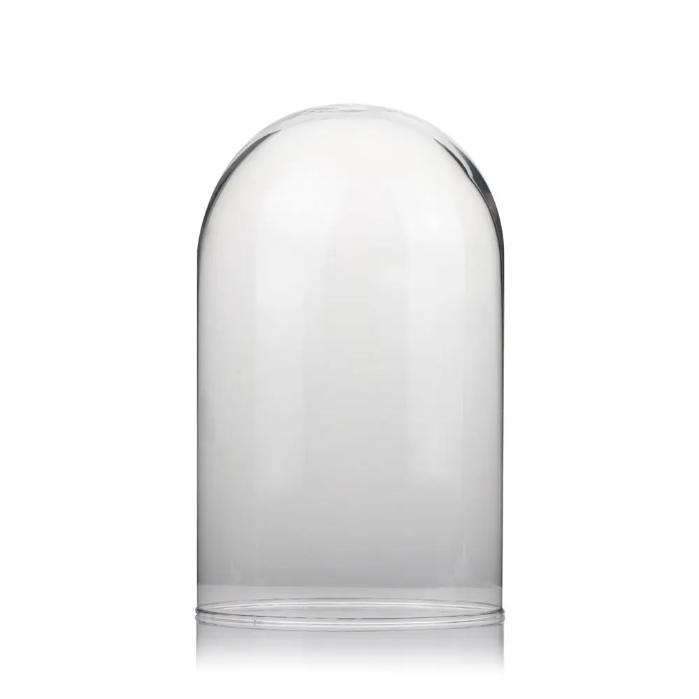 Preserved rose display wholes ale glass dome