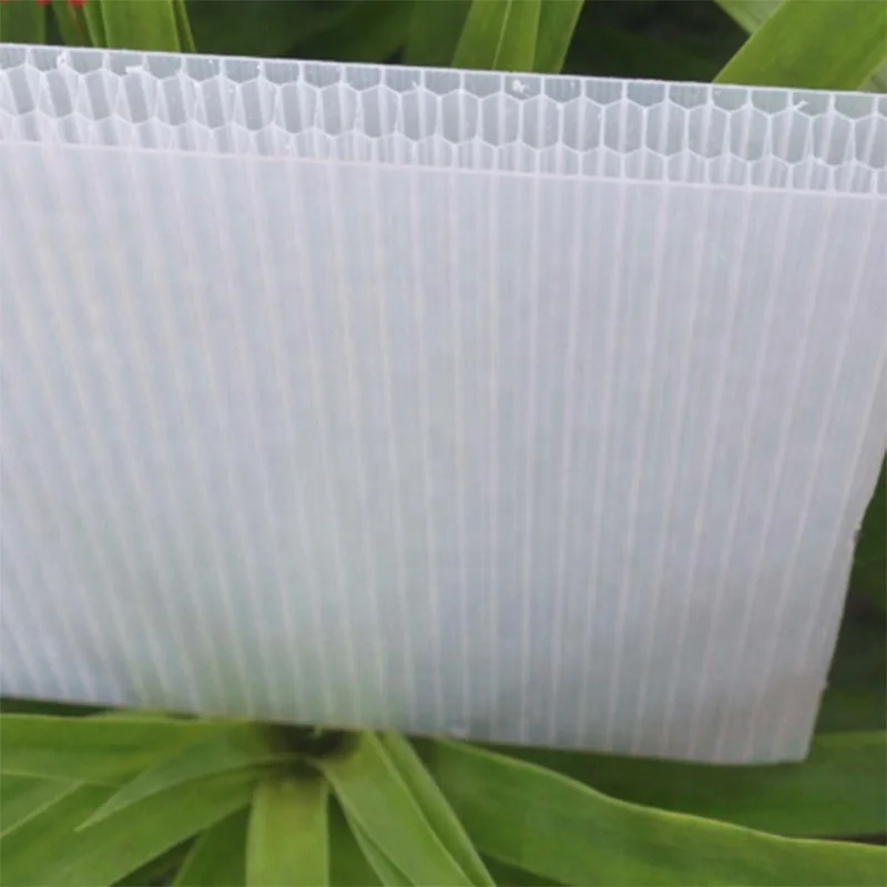 
honeycomb polycarbonate plastic sheet balcony cover sheet roof materials 