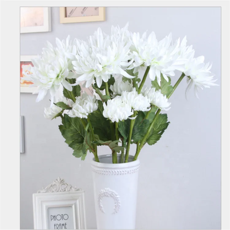 Factory Wholesale Fresh Cut Chrysanthemum For Home Decoration