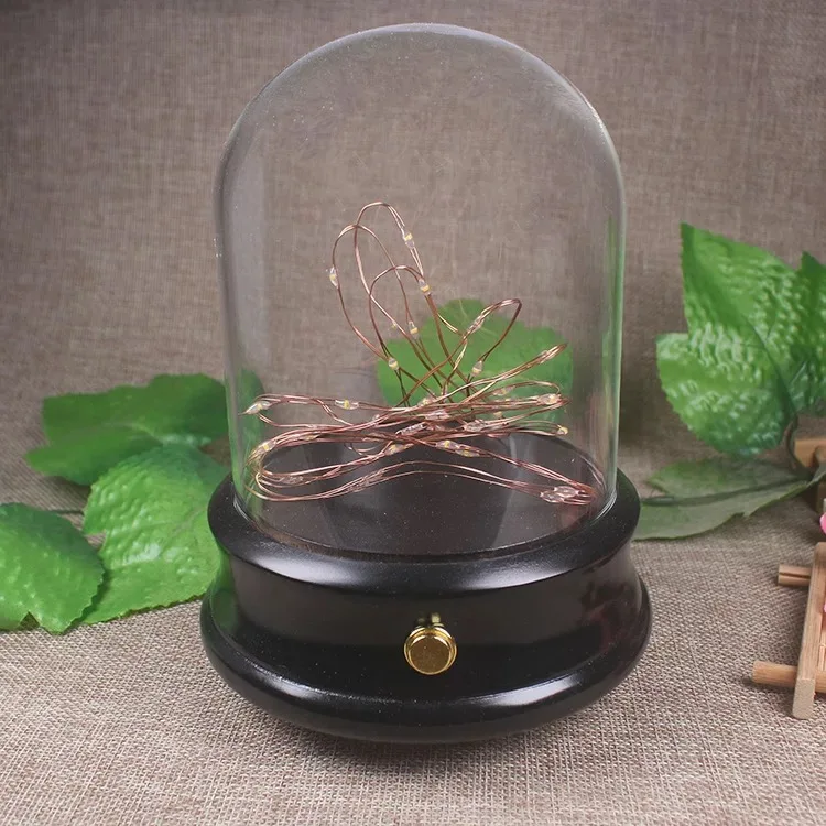 Wholesale glass oval bell jar dome with wooden base and LED
