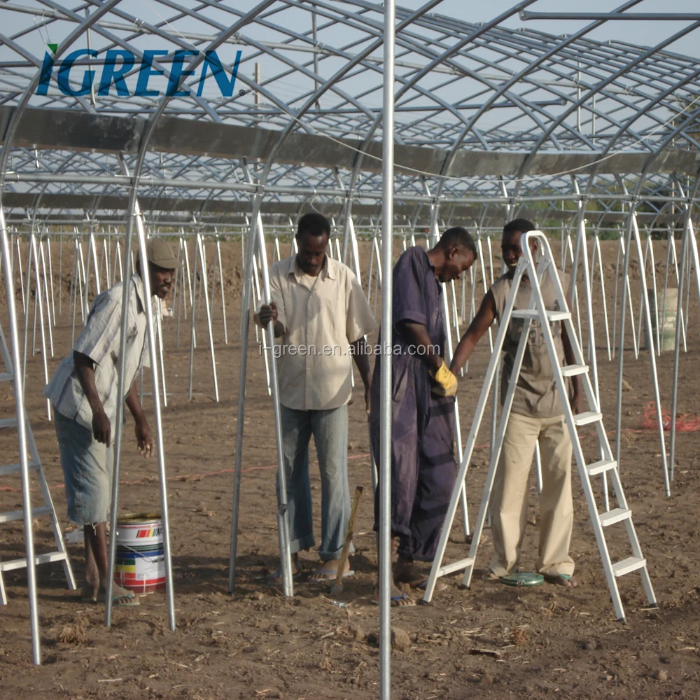 Economical hoop house agricultural modern greenhouse sale