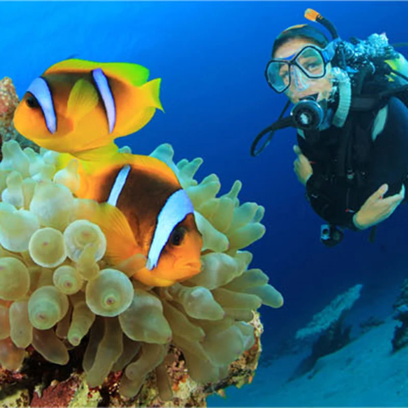 
Diving Snorkeling Scuba Snorkel with Goggles Mask Set 