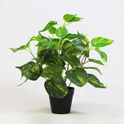 Most beautiful look real heart shaped artificial floor plants with pot