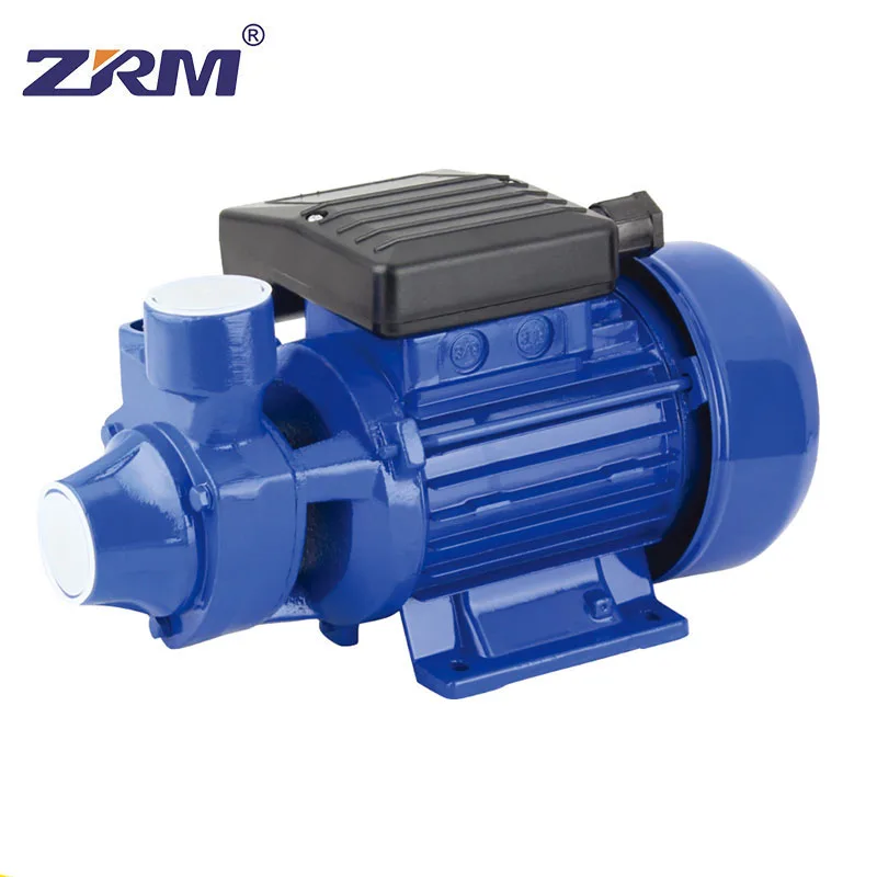 QB60 water pump 220V 0.5HP Electric Surface Peripheral Vortex Water Pump