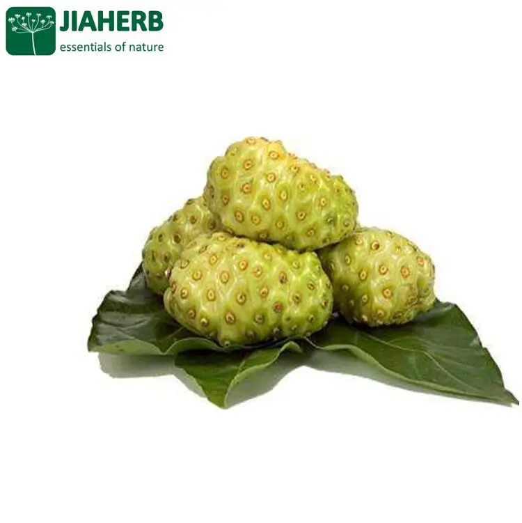 
JIAHERB 18 Years 6 Factories Offer 100% Pure Natural Plant Extract Noni Powder Morinda Citrifolia Full Certificated 