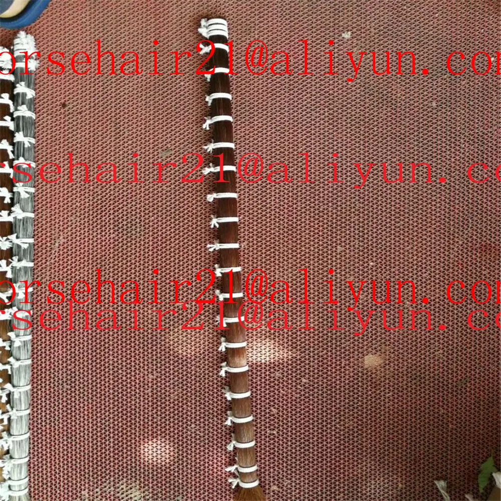 Natural white violin bow horse hairs for sellingViolin Hank Hair