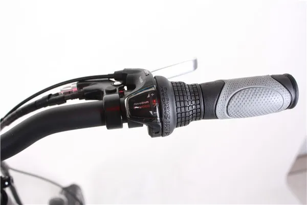 250W electric folding bicycle with CE certificate