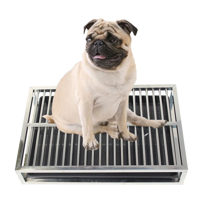 Large Small Size Pet Toilet With Plastic Stainless Steel Tray
