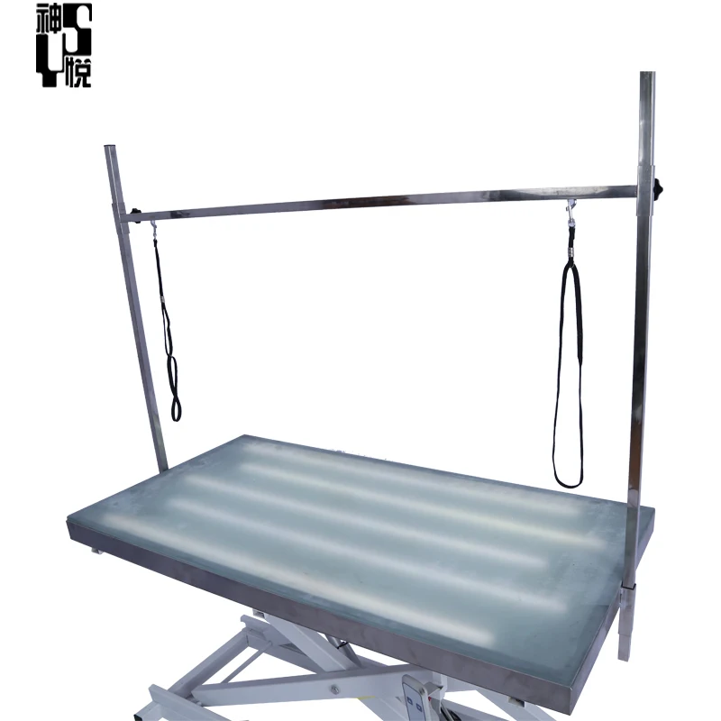 High Quality Large Lifting Height Adjustable Hydraulic Electric Dog Grooming Table with Led Light