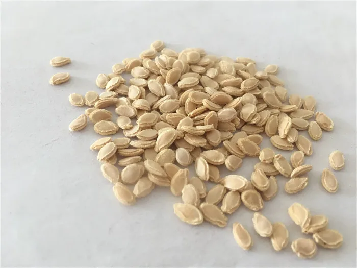 
Agriculture companies green long hybrid bottle gourd hugua seeds 1kg/bag 