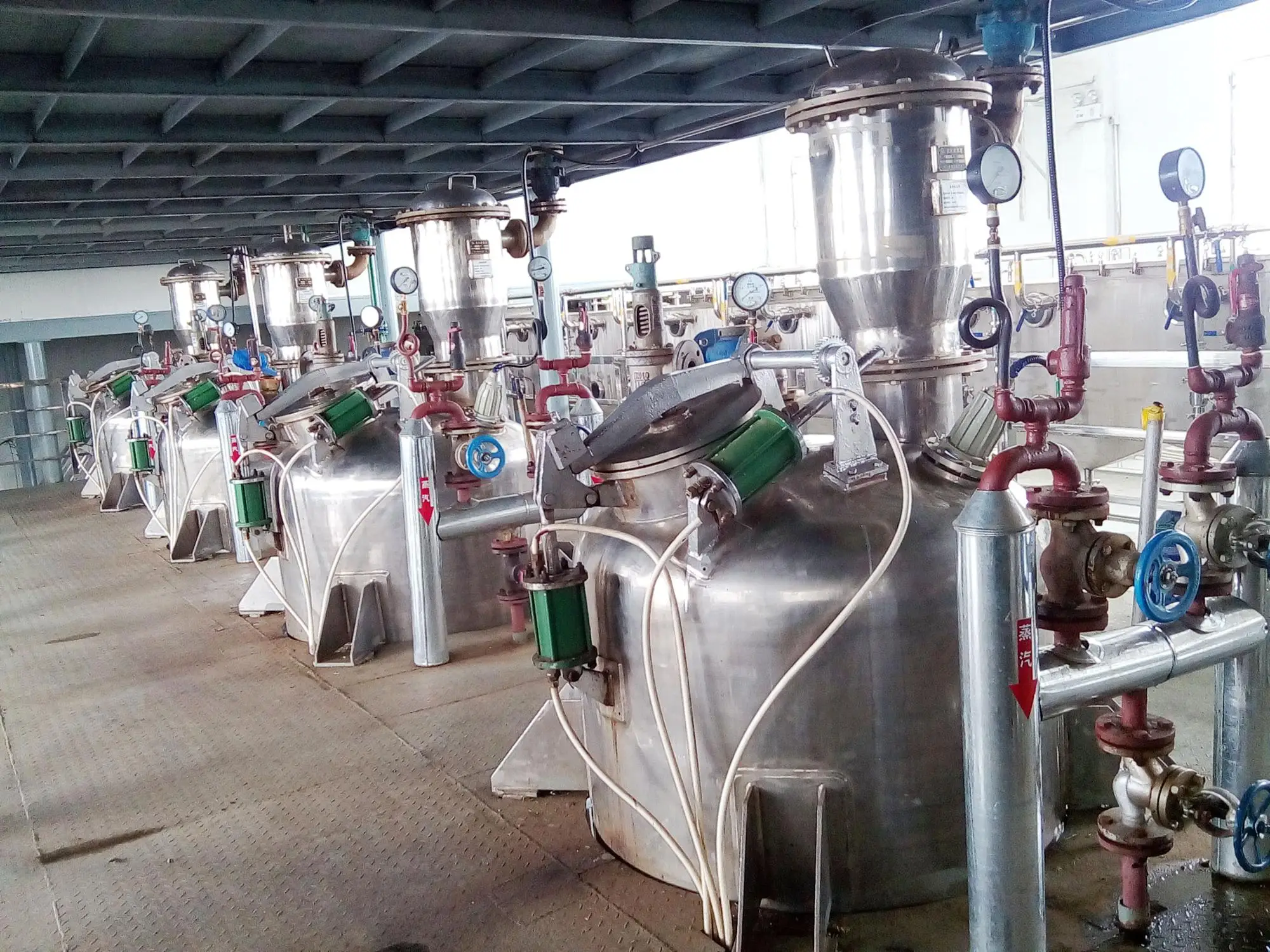 
gingko biloba supplement gingko leaf extract 