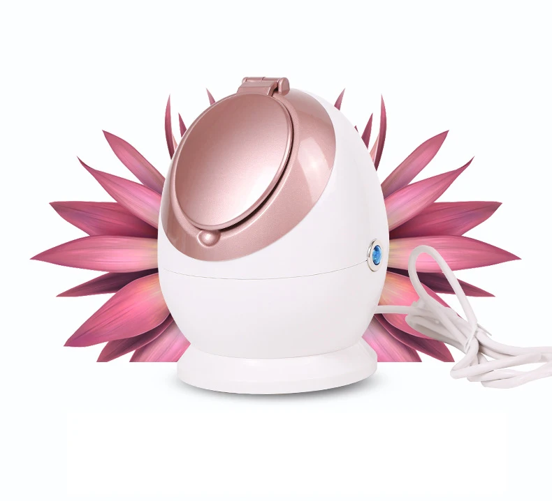 Mirror Ion facial steamer parts ozone professional private label