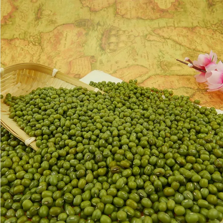 
Well selected small green mung bean 
