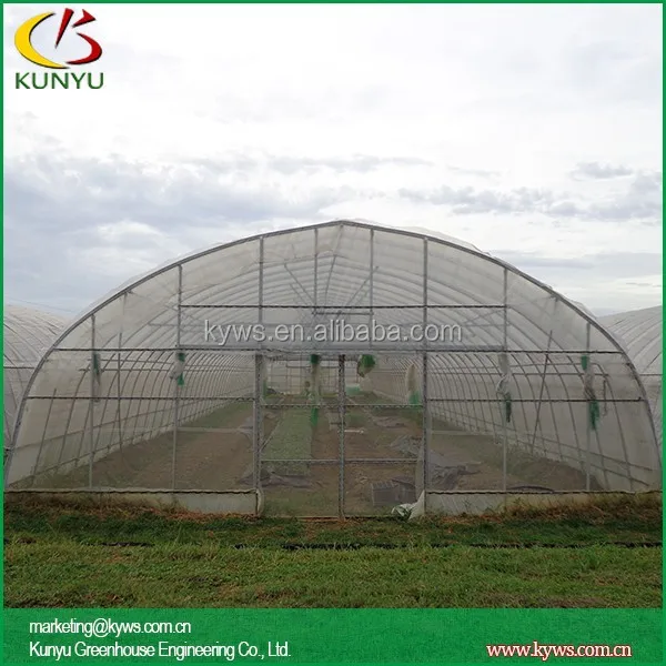 Double Arch roof type tunnel greenhouse round greenhouse bradford greenhouses