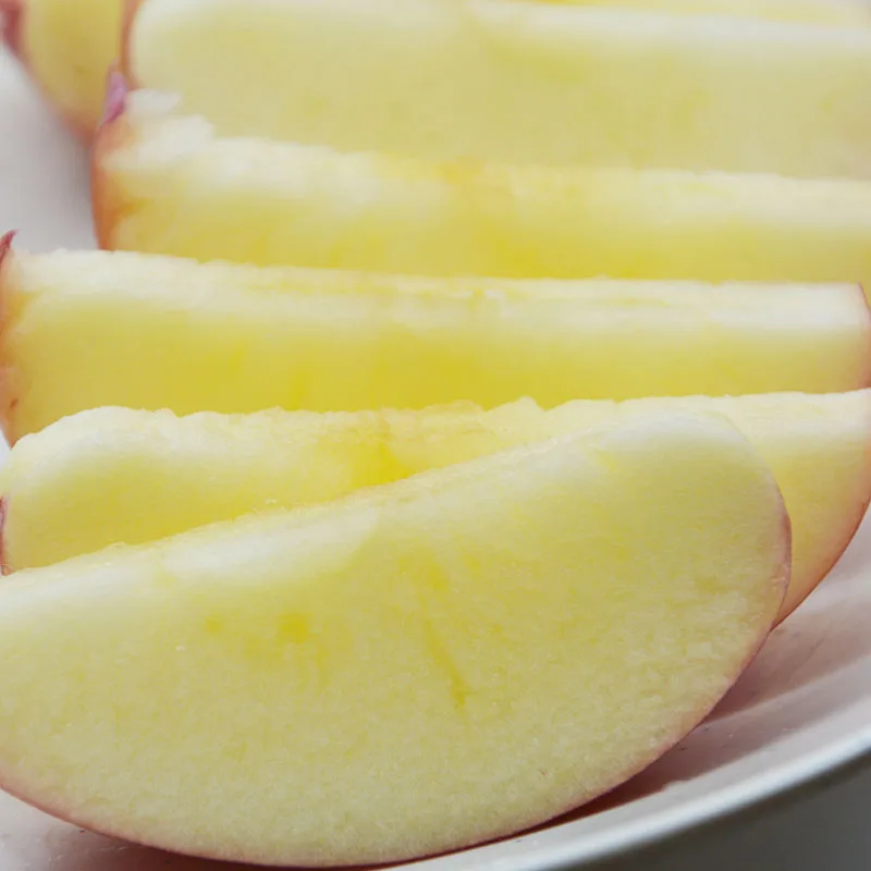 
High quality cheap price Chinese New Crop fresh Apples 