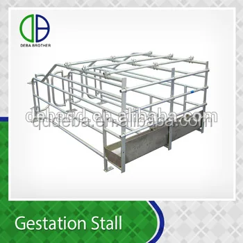 Hot Dip Galvanzie Pipe Pig Gestation Stall Good Quality For Pig Crate