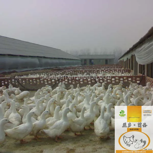 Оптовая продажа, кормовая добавка, пробиотики для домашней птицы