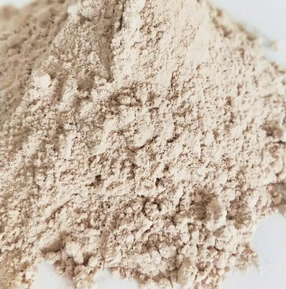
High Purity Whey Protein Powder(Chocolate Flavor) 