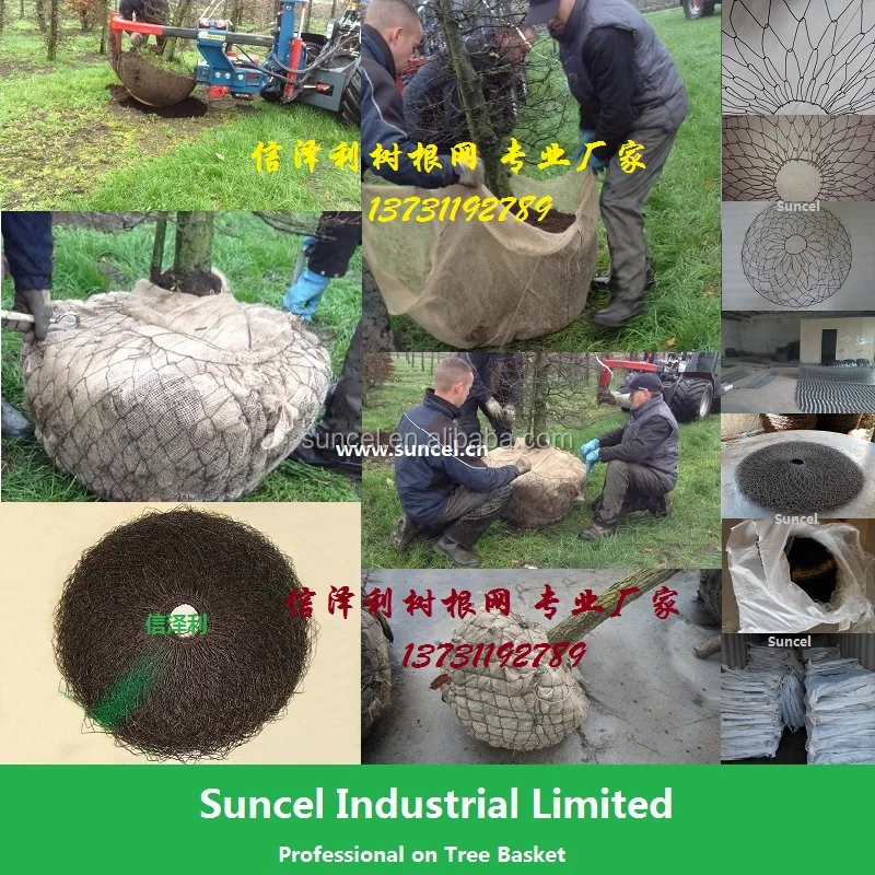 Suncel Tree Nursery Wire Mesh Basket for Root Ball