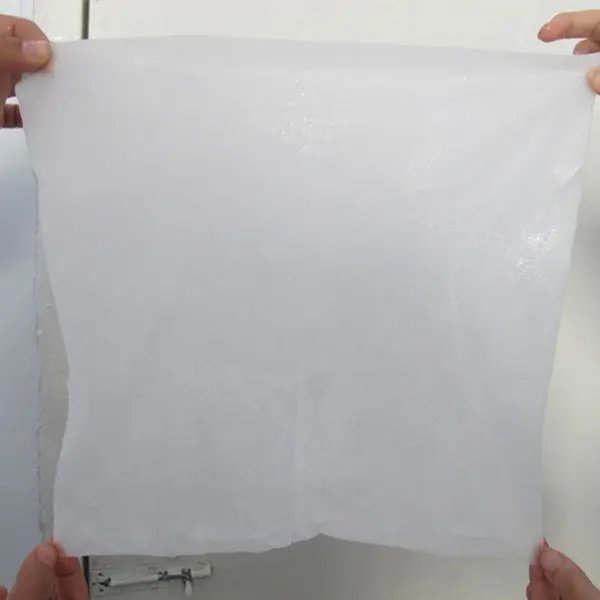 Cryo pad Anti freeze Cryolipolysis Antifreeze Membrane