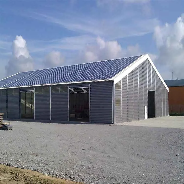 Economical prefabricated Environmental Steel Frame Garage