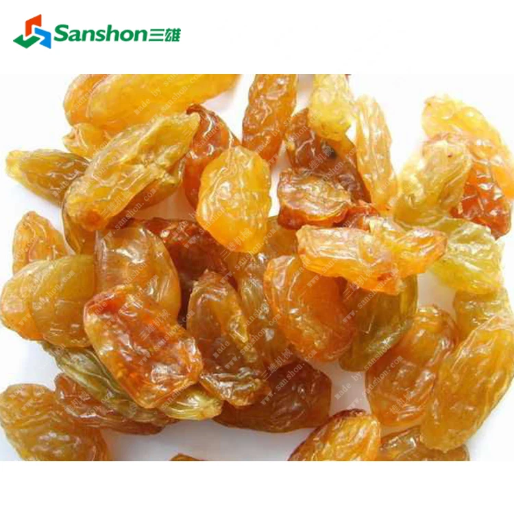 China Raisin Grape Drying Processing Line
