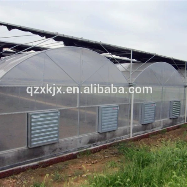 2021 new product green house plastic film greenhouse agricultural greenhouse