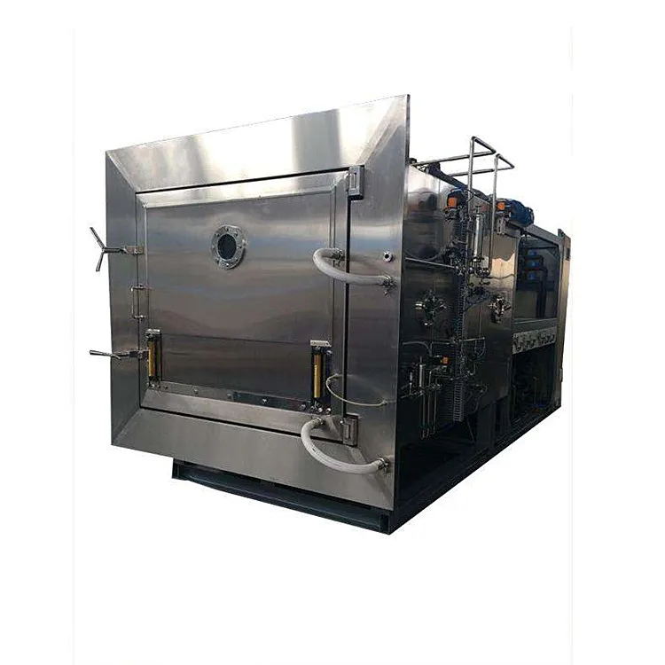 Stainless steel business lyophilizer tomato fruits and vegetables cold air drying frezze machine price