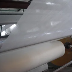 Environment-Friendly Decorated Fiberglass Wall Covering Tissue Mat