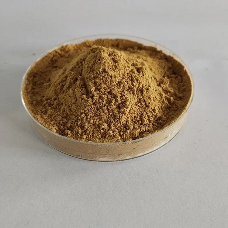 
Fast delivery schizochytrium algae DHA 10% powder of China national standard 
