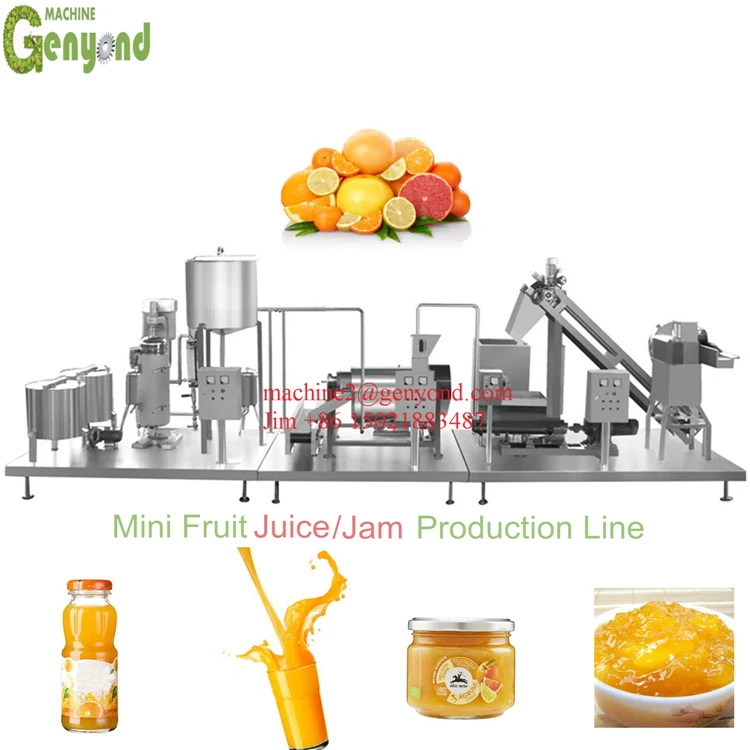 Chinese factory juice concentrate production line with price
