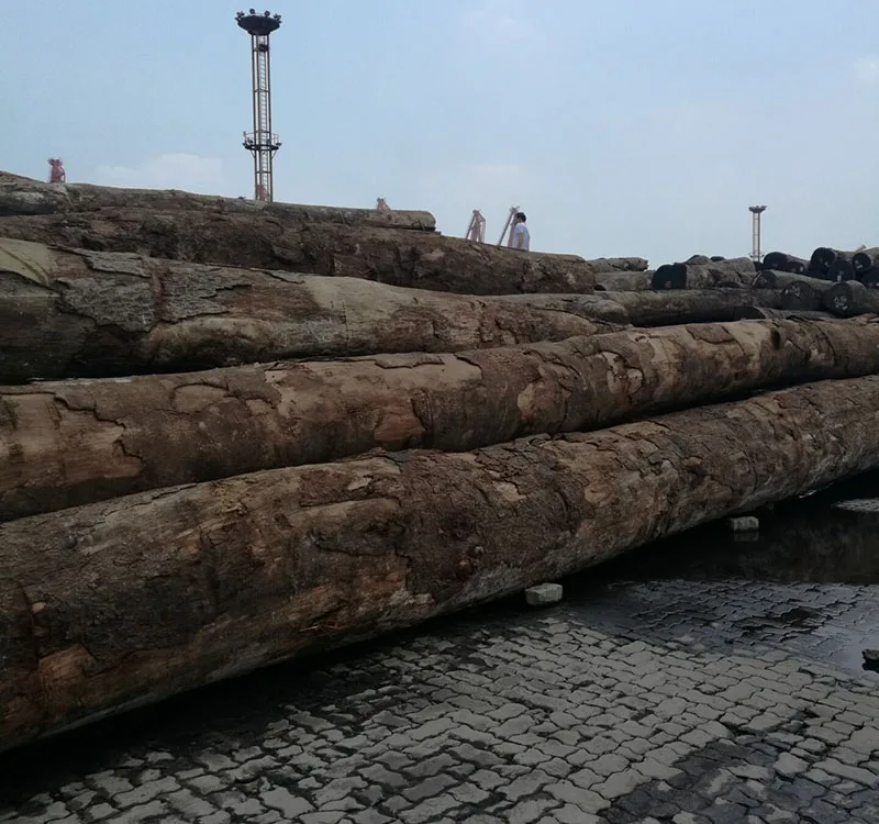 wood logs tali / rosewood / doussie / azobe rosewood logs