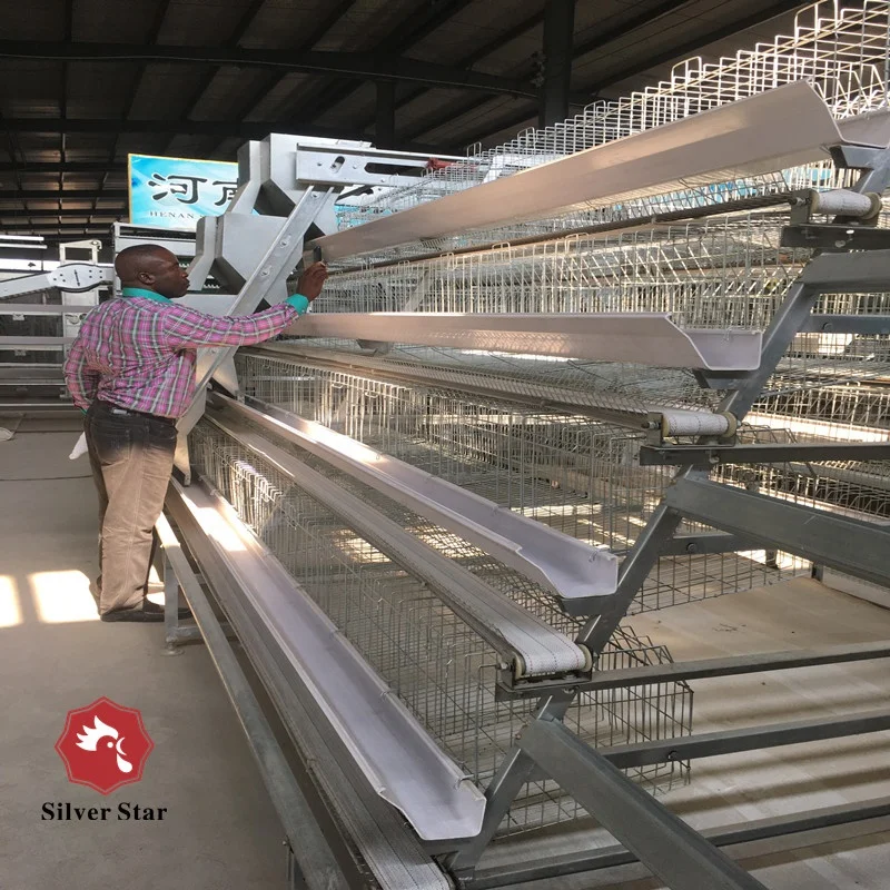 A type automatic or semi automatic battery layer chicken cage