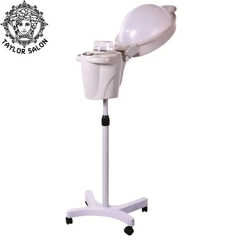 Portable hair steamer and hair dryer accelerator hair steamer for sale